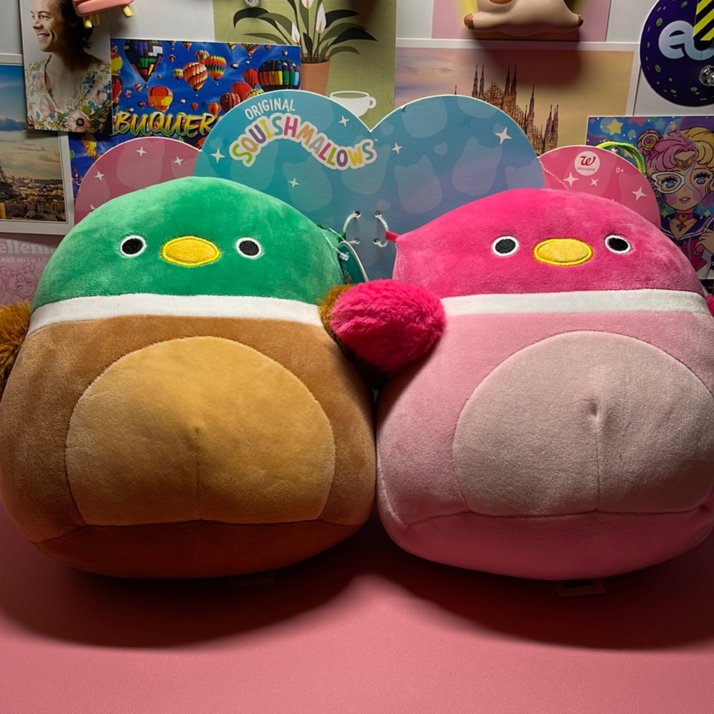 Squishmallows Walgreens Exclusive (Avery and Della)